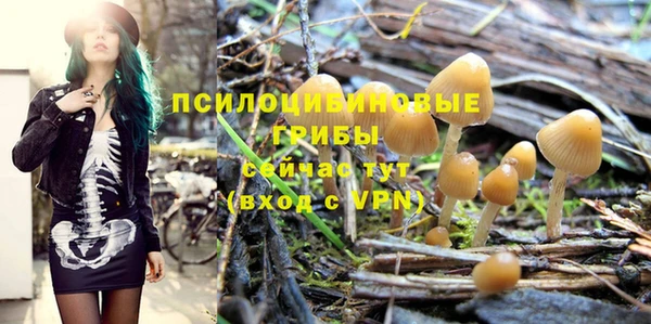 прущие крисы Белоозёрский