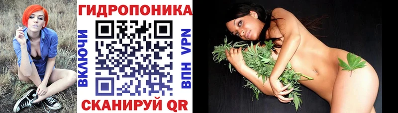 площадка клад  Плёс  Шишки марихуана AK-47  где продают  